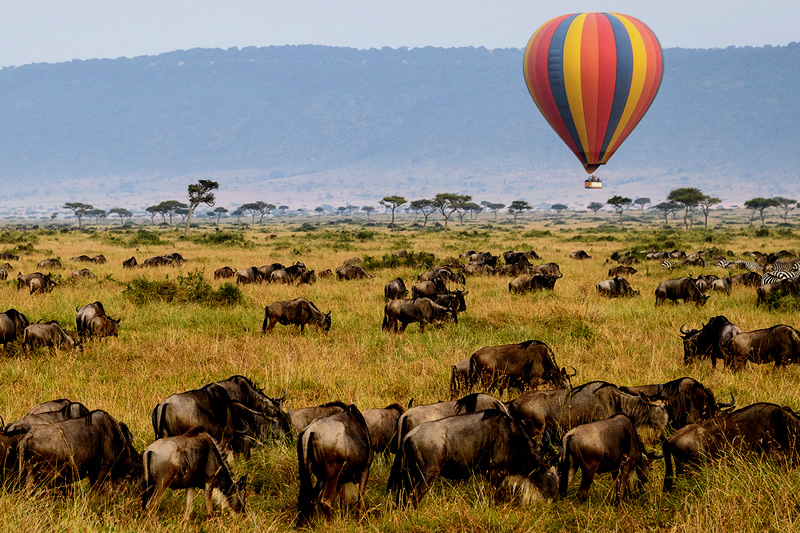 serengeti-naked-wilderness.jpg
